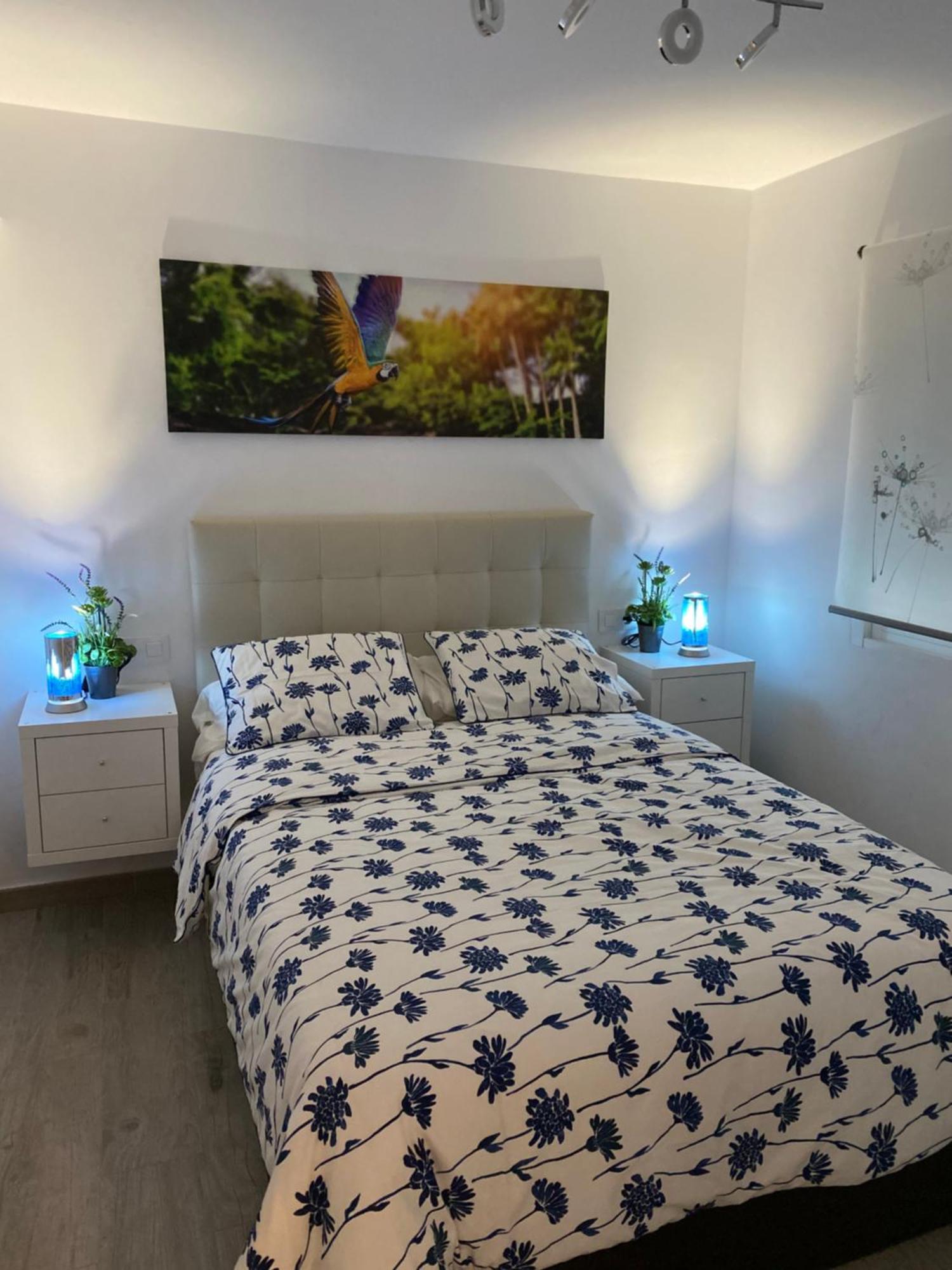 Apartamento Sevilla Enzo Екстериор снимка